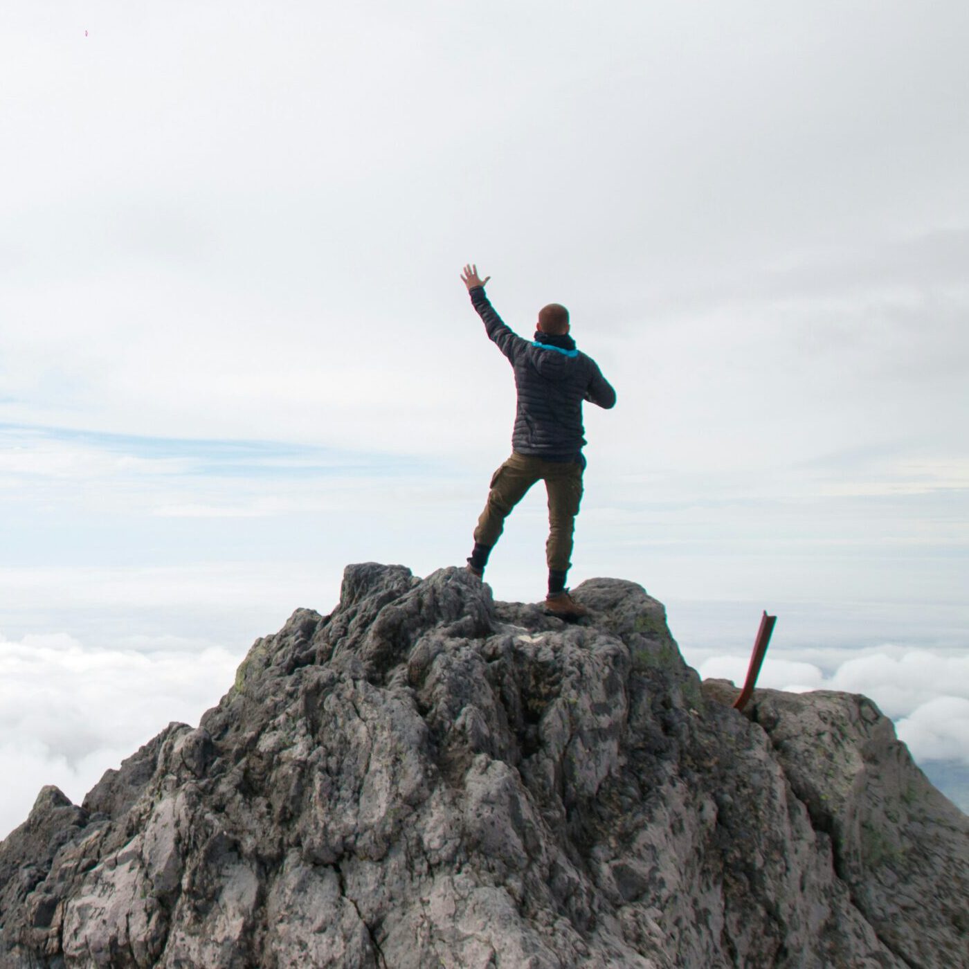 wallace fonseca qf9bb8jbcbs unsplash